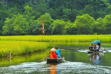 Visitantes al complejo turístico Tam Coc-Bich Dong en la provincia norteña de Ninh Binh en la temporada de cosecha de arroz. (Fotografía: VNA)
