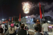 [Foto] Ciudadanos en todo el país saludan al Nuevo Año de la Serpiente 2025
