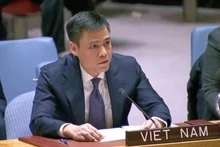 El representante permanente de Vietnam ante Naciones Unidas, el embajador Dang Hoang Giang. (Foto: VNA)