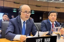 Nguyen Trung Kien, gobernador y representante de Vietnam en el OIEA, participa en la reunión (Foto: VNA)