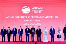 Representantes de los países asisten a la Reunión de Altos Funcionarios de la Asean. (Foto: baoquocte.vn)