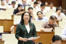 En el debate sobre el proyecto de Ley de Prevención y Lucha contra la Trata de Personas (modificada). (Foto: VNA)