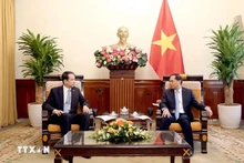 El viceprimer ministro y canciller de Vietnam, Bui Thanh Son, recibe al embajador chino en Hanói, He Wei. (Foto: VNA)