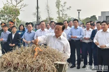 El viceprimer ministro Tran Hong Ha ofrece inciensos en el Templo Conmemorativo de los Mártires en el campo de batalla de Dien Bien Phu y el Cementerio de Mártires A1. (Foto: Nhan Dan)