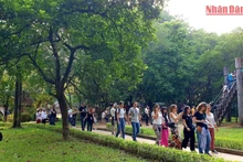 Aumentan llegadas internacionales a Vietnam en los primeros 10 meses 