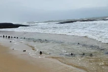 Los restos del presunto barco antiguo en la playa. (Foto: plo.vn)