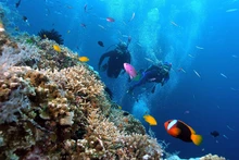 Nha Trang entre cinco mejores destinos de buceo de Asia