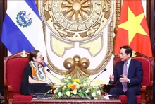 El canciller vietnamita, Bui Thanh Son, y su homóloga de El Salvador, Alexandra Hill Tinoco. (Fotografía: VNA)