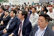 Representantes vietnamitas en la reunión. (Fotografía: VNA)