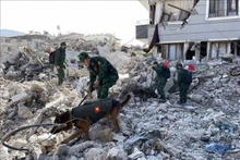 Rescatistas vietnamitas buscan víctimas en la provincia turca de Hatay. (Fotografía: VNA)