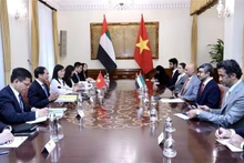 Panorama de la reunión. (Foto: VNA)