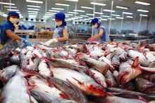 Foto de ilustración. (Foto: baodautu.vn)