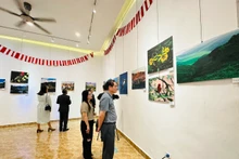 En la exposición.