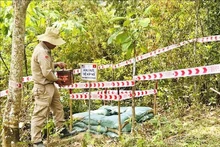 Terreno desminado de PeaceTrees Vietnam en la comuna de Huong Tan, distrito de Huong Hoa, provincia de Quang Tri (Foto: VNA)