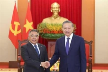 El secretario general del Partido Comunista de Vietnam (PCV), To Lam (derecha) recibe al embajador de Filipinas en Hanói, Meynardo Los Banos Montealegre. (Foto: VNA)