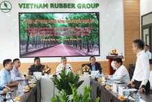La sesión de trabajo entre el embajador de Vietnam en Camboya, Nguyen Minh Vu, y líderes y empleados de tres empresas de caucho: Ba Ria Kampong Thom, Phuoc Hoa Kampong Thom y Tan Bien Kampong Thom. (Foto: VNA)