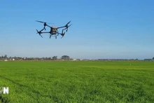 La transformación digital se ha convertido en una estrategia clave, que abre oportunidades para construir un modelo agrícola más inteligente, sostenible y eficiente, asegurando la posición de la agricultura vietnamita en el mapa mundial. (Foto: VNA)