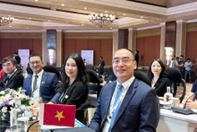 La delegación de la Auditoría Estatal de Vietnam, encabezada por el auditor general adjunto Bui Quoc Dung, asiste lunes al evento. (Foto: VNA)