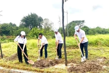 Los delegados participan en la plantación de árboles luego de la ceremonia. (Foto: VNA)