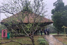 Turistas visitan la la Aldea de Cultura y Turismo de las Etnias Minoritarias de Vietnam. 