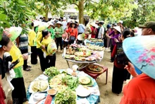 Fiesta banh xeo en el jardín lleno de árboles frutales del antiguo pueblo de Loc Yen. (Foto: VNP)