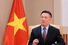 El viceprimer ministro Ho Duc Phoc. (Foto: VNA)