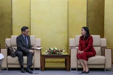 La vicepresidenta del Comité Popular de Da Nang, Nguyen Thi Anh Thi, recibe al cónsul general niponés en esta urbe. (Foto: VNA)
