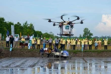Demostración de fumigación y fertilización con drones a los cultivos de Can Tho. (Foto: VNA)