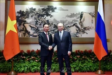 El presidente de Vietnam, Vo Van Thuong, sostuvo un encuentro con su homólogo ruso, Vladimir Putin. (Foto: VNA)