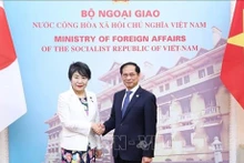 El ministro de Relaciones Exteriores de Vietnam, Bui Thanh Son, y su homóloga japonesa Kamikawa Yoko. (Foto: VNA)
