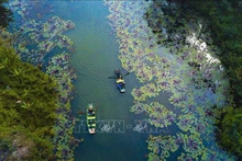Hermoso paisaje de Ninh Binh. (Foto: VNA)
