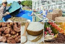 Vínculos comerciales Vietnam-Países Bajos