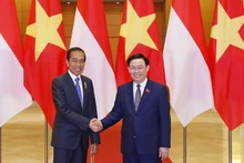 El titular de la Asamblea Nacional de Vietnam, Vuong Dinh Hue, (derecha) y el presidente de Indonesia, Joko Widodo. (Foto: VNA)