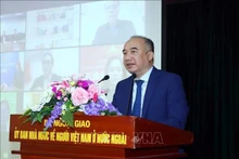 El subjefe del Comité Estatal sobre Vietnamitas en el extranjero Nguyen Manh Dong. (Foto: VNA)