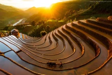 Mu Cang Chai en la época de retención de agua. (Foto: sgtiepthi.vn) 