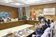 El vicepresidente de la Asamblea Nacional, Nguyen Duc Hai, habla en el evento. (Foto: VNA)