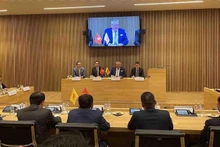 Panorama de la cita. (Foto: VNA)