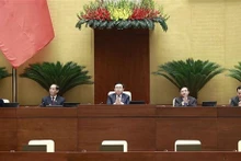 En la conferencia. (Fuente: VNA)