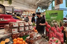Venta de lichis vietnamitas en el centro comercial Siam Paragon, Tailandia. Foto de ilustración. (Foto: VNA)