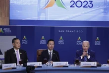 El presidente vietnamita Vo Van Thuong y los líderes de APEC en la cita. (Foto: VNA)