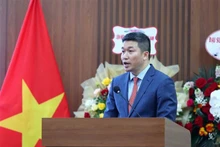 Phan Anh Son, presidente de la VUFO. (Foto: VNA)