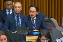 El viceministro de Relaciones Exteriores vietnamita Do Hung Viet ratificó el firme compromiso de su país con los esfuerzos de ayuda humanitaria. (Foto: VNA)
