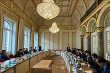 Durante la sesión de trabajo entre el grupo de trabajo del Ministerio de Justicia de Vietnam y el Ministerio de Justicia del estado de Hesse (Foto: VNA)