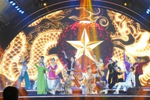 Actuación de la música vietnamita en el programa. (Fotografía: qdnd.vn)