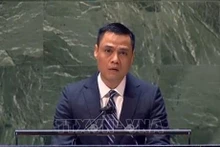 El embajador Dang Hoang Giang, representante permanente de Vietnam ante las Naciones Unidas. (Fotografía: VNA)