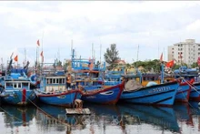 Los pobladores aseguran sus barcos para evitar los daños provocados por el tifón Noru. (Fotografía: VNA)