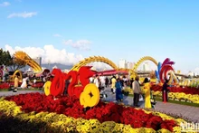 Los turistas visitan la calle de flores de Da Nang durante el Año Nuevo Lunar 2025. 