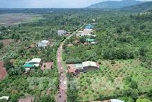 El tramo de la autopista Khanh Hoa - Buon Ma Thuot que pasa por la comuna de Ea Kenh, distrito de Krong Pac, provincia de Dak Lak, ha sido marcado para su limpieza de terreno. (Foto: VNA)