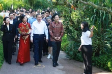 El secretario general del Partido Comunista de Vietnam, To Lam (al frente, en el centro), su esposa, Ngo Phuong Ly (al frente, a la izquierda), y el primer ministro singapurense, Lawrence Wong, recorren el Jardín Botánico de Singapur. (Foto: VNA)