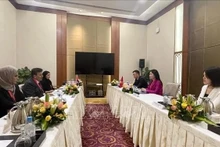 La delegación vietnamita sostiene una reunión bilateral con representantes de los Emiratos Árabes Unidos. (Foto: VNA)